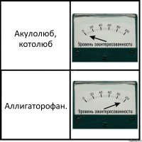 Акулолюб, котолюб Аллигаторофан.