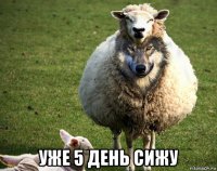  уже 5 день сижу