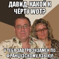 давид, какой к чёрту wot? у тебя завтра экзамен по французскому языку!