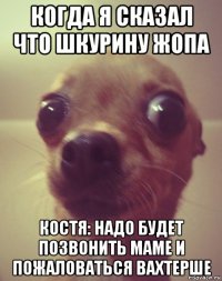 когда я сказал что шкурину жопа костя: надо будет позвонить маме и пожаловаться вахтерше