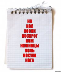 Но
Нос
Носок
Носорог
Нож
Ножницы
Ноль
Носуха
Нога