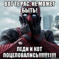 вот те рас, не может быть! леди и кот поцеловались!!!!!!11!!!