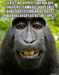 ¿cristina depositaba bolsos con fajos termosellados en el banco del tesorero de boca para que luego los retire lopez? 