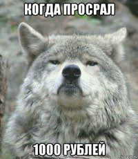 когда просрал 1000 рублей