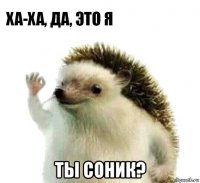  ты соник?