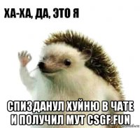  спизданул хуйню в чате и получил мут csgf.fun