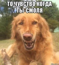 то чувство когда ты-смоля 