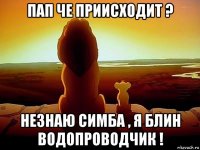 пап че приисходит ? незнаю симба , я блин водопроводчик !