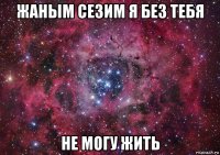 жаным сезим я без тебя не могу жить