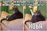 бакугоу: эй, йоршик, ты хоть что-то можешь кроме того, чтобы реветь?! 