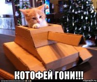  котофей гони!!!