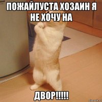 пожайлуста хозаин я не хочу на двор!!!!!