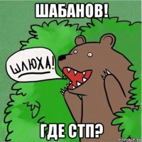 шабанов! где стп?