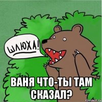  ваня что-ты там сказал?