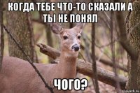 когда тебе что-то сказали а тьi не понял чого?