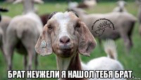  брат неужели я нашол тебя брат.