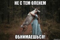 не с тем оленем обнимаешься!