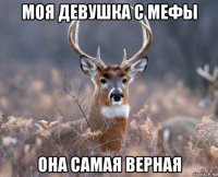 моя девушка с мефы она самая верная