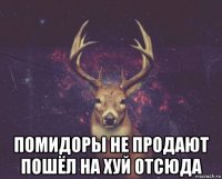  помидоры не продают пошёл на хуй отсюда