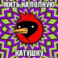 жить на полную катушку