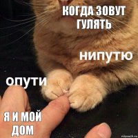 Когда зовут гулять Я и мой дом