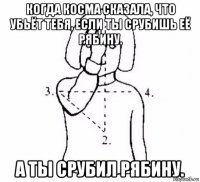 когда косма сказала, что убьёт тебя, если ты срубишь её рябину. а ты срубил рябину.