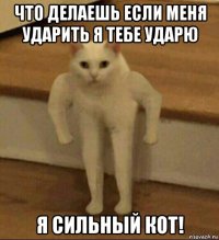 что делаешь если меня ударить я тебе ударю я сильный кот!