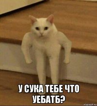  у сука тебе что уебатб?