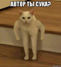 автор ты сука? 