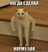 когда сделал норму 500