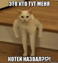 это кто тут меня котей назвал?!?!