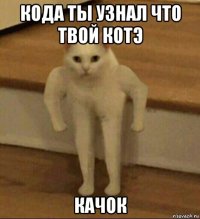 кода ты узнал что твой котэ качок