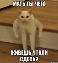 мать ты чего живёшь чтоли сдесь?