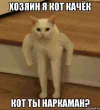 хозяин я кот качёк кот ты наркаман?