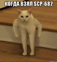 когда взял scp-682 