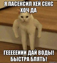 я пасексил хей секс хоч да геееееиии дай воды! быстра блять!