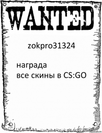 zokpro31324 награда
все скины в CS:GO