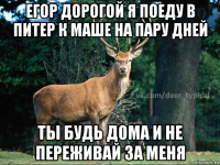 егор дорогой я поеду в питер к маше на пару дней ты будь дома и не переживай за меня