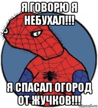 я говорю я небухал!!! я спасал огород от жучков!!!