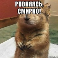 ровняясь, смирно! 