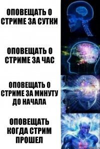 Оповещать о стриме за сутки Оповещать о стриме за час Оповещать о стриме за минуту до начала Оповещать когда стрим прошел