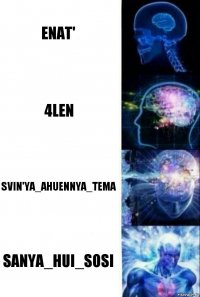 enat' 4len svin'ya_ahuennya_tema sanya_hui_sosi