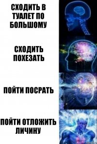 сходить в туалет по большому сходить похезать пойти посрать пойти отложить личину