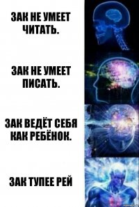 Зак не умеет читать. Зак не умеет писать. Зак ведёт себя как ребёнок. Зак тупее Рей