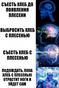 Съесть хлеб до появления плесени Выбросить хлеб с плесенью Съесть хлеб с плесенью Подождать, пока хлеб с плесенью отрастит ноги и уйдет сам