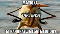 матюха ты начинаешь ебать голову