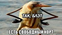  есть свободный корт