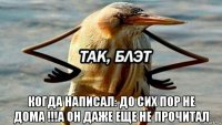  когда написал: до сих пор не дома !!!а он даже еще не прочитал