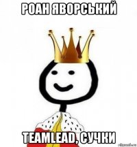 роан яворський teamlead, сучки