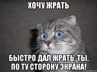 хочу жрать быстро дал жрать, ты, по ту сторону экрана!